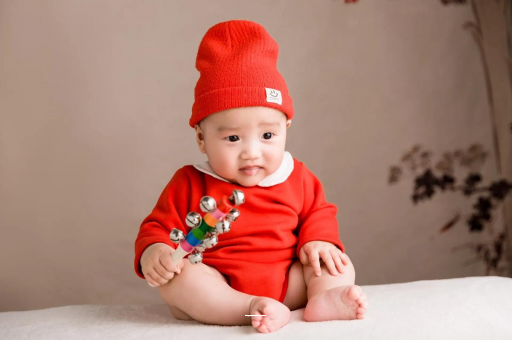 青海内蒙古助孕生子医院排名前十，过来人经验揭秘